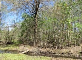 65+/- Acres of Riverfront Hunting Land For Sale in Cumberland County North Carolina!