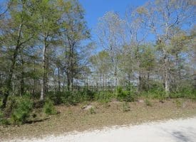 .46+/- Acre Residential Lot For Sale in Brunswick County NC!