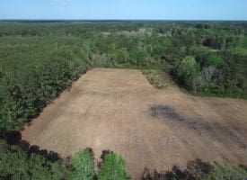 7+/- Acres of Residential and Farm Land For Sale in Columbus County NC!