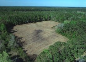 7+/- Acres of Residential and Farm Land For Sale in Columbus County NC!
