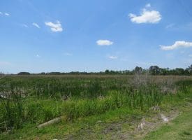 UNDER CONTRACT!! 2+/- Acre Lot For Sale in Beaufort County NC!