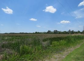 UNDER CONTRACT!! 2+/- Acre Lot For Sale in Beaufort County NC!