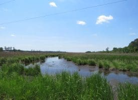 UNDER CONTRACT!! 2+/- Acre Lot For Sale in Beaufort County NC!