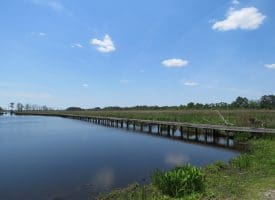UNDER CONTRACT!! 2+/- Acre Lot For Sale in Beaufort County NC!