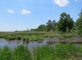 UNDER CONTRACT!! 2+/- Acre Lot For Sale in Beaufort County NC!