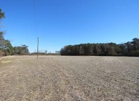 SOLD! 8+/- Acres of Land For Sale in Robeson County NC!