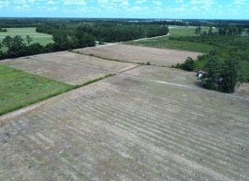 SOLD! 9+/- Acres of Land For Sale in Robeson County NC!