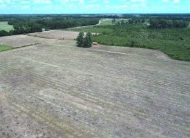 SOLD! 9+/- Acres of Land For Sale in Robeson County NC!