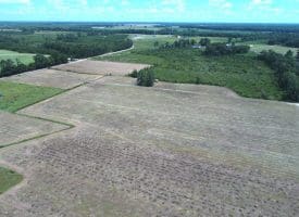 SOLD! 9+/- Acres of Land For Sale in Robeson County NC!