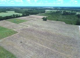 SOLD! 9+/- Acres of Land For Sale in Robeson County NC!