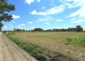9+/- Acres of Land For Sale in Robeson County NC!