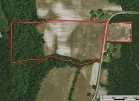 SOLD! 31+/- Acre Farm For Sale in Robeson County NC!
