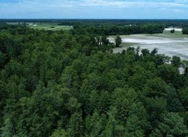 SOLD! 31+/- Acre Farm For Sale in Robeson County NC!