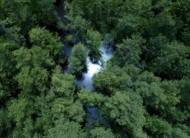SOLD! 31+/- Acre Farm For Sale in Robeson County NC!