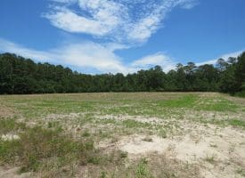 SOLD! 31+/- Acre Farm For Sale in Robeson County NC!