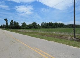 SOLD! 31+/- Acre Farm For Sale in Robeson County NC!
