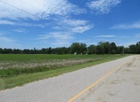SOLD! 31+/- Acre Farm For Sale in Robeson County NC!