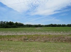 SOLD! 31+/- Acre Farm For Sale in Robeson County NC!