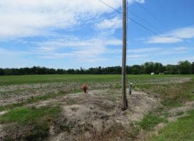 SOLD! 31+/- Acre Farm For Sale in Robeson County NC!