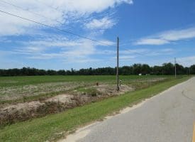 SOLD! 31+/- Acre Farm For Sale in Robeson County NC!