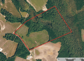 128+/- Acres of Farm and Hunting Land For Sale in Robeson County NC!