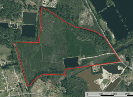 125+/- Acres of Timber and Receational Land For Sale in Robeson County NC!