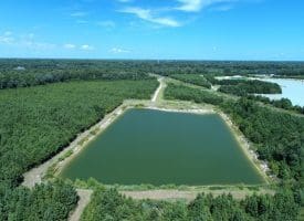 125+/- Acres of Timber and Receational Land For Sale in Robeson County NC!