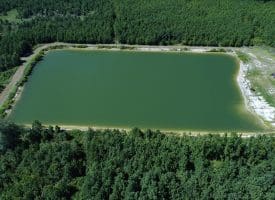 125+/- Acres of Timber and Receational Land For Sale in Robeson County NC!