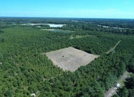 125+/- Acres of Timber and Receational Land For Sale in Robeson County NC!