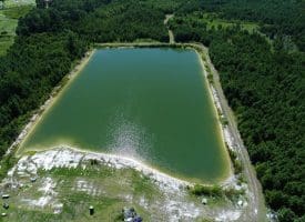 125+/- Acres of Timber and Receational Land For Sale in Robeson County NC!