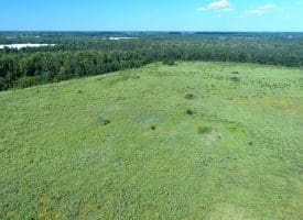 128+/- Acres of Farm and Hunting Land For Sale in Robeson County NC!