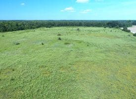 128+/- Acres of Farm and Hunting Land For Sale in Robeson County NC!