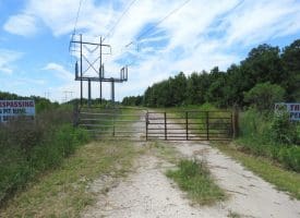 125+/- Acres of Timber and Receational Land For Sale in Robeson County NC!