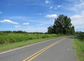 128+/- Acres of Farm and Hunting Land For Sale in Robeson County NC!