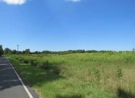 128+/- Acres of Farm and Hunting Land For Sale in Robeson County NC!