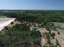 SOLD! 35+/- Acres With Home Site For Sale in Robeson County NC!