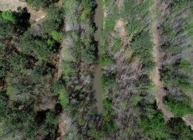 SOLD! 35+/- Acres With Home Site For Sale in Robeson County NC!