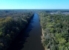 SOLD! 32+/- Acres of River Front Hunting and Timber Land For Sale in Bladen County NC!