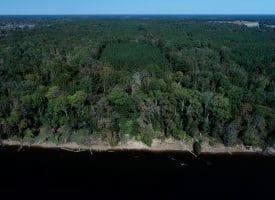 SOLD! 32+/- Acres of River Front Hunting and Timber Land For Sale in Bladen County NC!