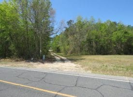 SOLD! 35+/- Acres With Home Site For Sale in Robeson County NC!