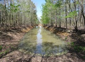 SOLD! 35+/- Acres With Home Site For Sale in Robeson County NC!