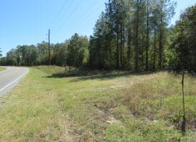 SOLD! 32+/- Acres of River Front Hunting and Timber Land For Sale in Bladen County NC!