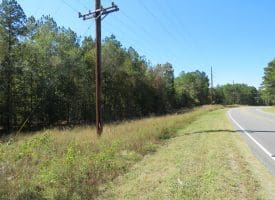 SOLD! 32+/- Acres of River Front Hunting and Timber Land For Sale in Bladen County NC!