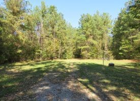SOLD! 32+/- Acres of River Front Hunting and Timber Land For Sale in Bladen County NC!