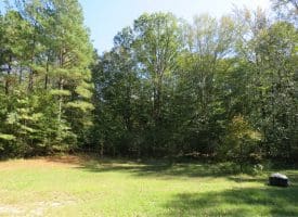 SOLD! 32+/- Acres of River Front Hunting and Timber Land For Sale in Bladen County NC!