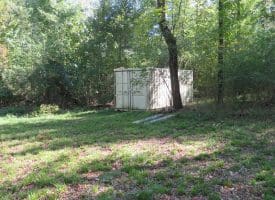 SOLD! 32+/- Acres of River Front Hunting and Timber Land For Sale in Bladen County NC!