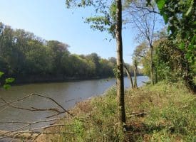 SOLD! 32+/- Acres of River Front Hunting and Timber Land For Sale in Bladen County NC!