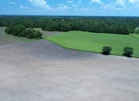 10+/- Acres For Sale in Columbus County NC!