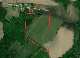 10+/- Acres For Sale in Columbus County NC!