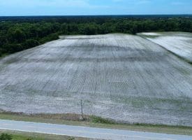 32+/- Acres Pittman Loop Road Farm For Sale in  Robeson County NC